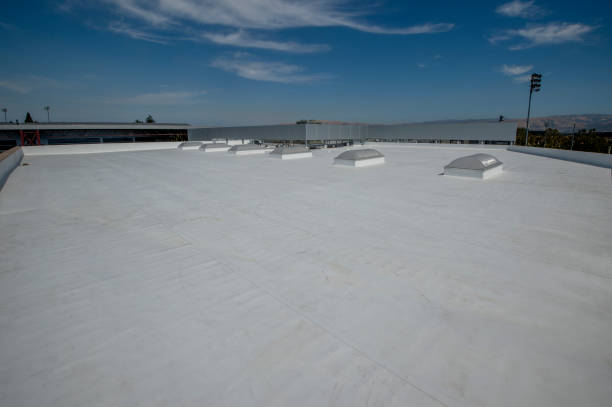 Best Roof Insulation Installation  in Foley, MN